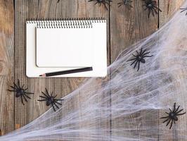 open notebook with blank white pages, spider web and black spiders photo