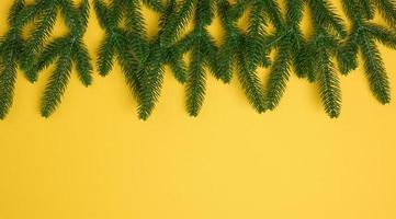 green spruce branches on a yellow background, place for an inscription photo