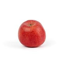 ripe red round apple on a white background, autumn harvest photo