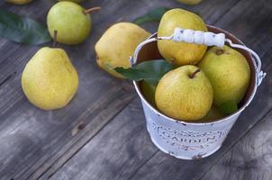 Ripe pears in a metal bucket white photo