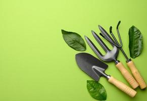 set of garden tools with wooden handles on a green background, top view photo