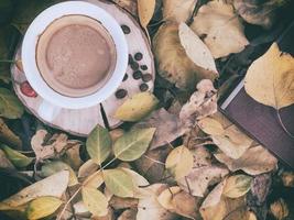 taza de café entre hojas caídas en un tocón de árbol foto