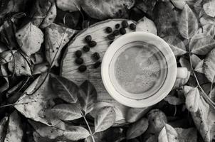foto en blanco y negro de una taza de café en un tocón de árbol entre hojas caídas