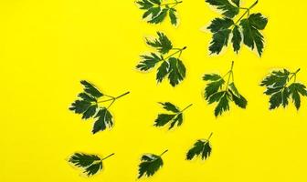 Abstract yellow background photo