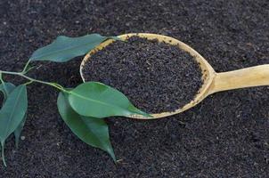 Dry tea with green leaves in wooden spoons photo