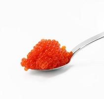 caviar de salmón chum rojo de grano fresco en cuchara metálica, fondo blanco foto