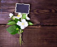 blossoming jasmine with white flowers photo