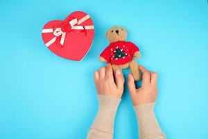 two female hands hold a small toy teddy bear photo