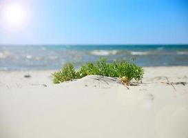 view of the sea from the sandy shore photo