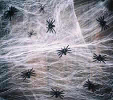 white spider web with black spiders on a wooden background from old boards photo