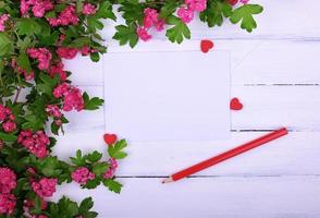 hoja de papel vacía y un lápiz de madera rojo sobre una superficie blanca foto