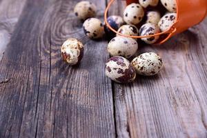 Scattered from a bucket quail eggs on a gray wooden surface photo