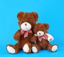 two teddy bears on a blue background photo