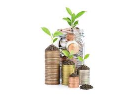 Coins and plants are planted on a pile of coins. Ideas for investment finance Banking business growth, savings and productivity on white background photo