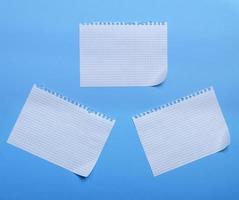 three blank sheet of paper with curved corners on a blue background, the sheets into the cell photo
