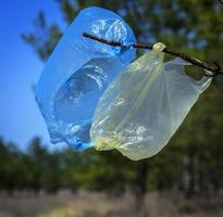 two used empty plastic bags hanging on a branch photo