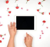 two female hands holding device over white background with buds of pink roses photo