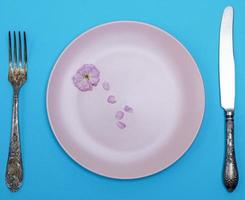 empty ceramic round pink plate and metal knife with fork photo