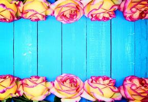 rosas amarillas sobre un fondo de madera azul foto