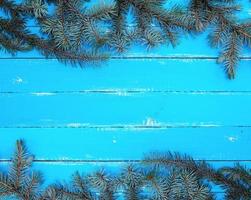 background of parallel boards and a green spruce branch photo