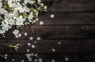 rama de cerezo con flores blancas sobre una superficie marrón foto