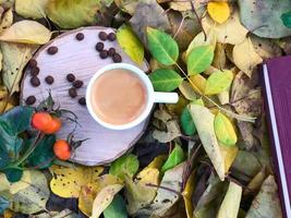taza de espresso en un tocón entre las hojas en el parque de otoño foto