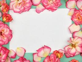 pure white paper sheet and buds of pink roses, festive background photo