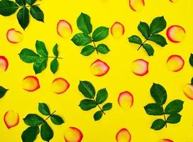 Abstract yellow background with rose petals photo