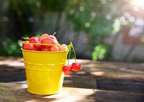 Ripe pink cherry in the sun photo