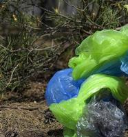 a pile of crumpled transparent empty plastic bags lies under a tree photo