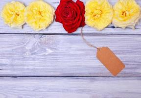 capullos de rosas amarillas con una rosa roja foto