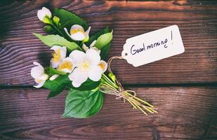 bouquet of blossoming jasmine with white flowers photo