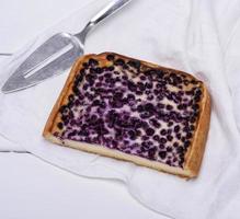 pie of cottage cheese and blueberries photo