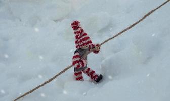 toy  holding on to a rope photo