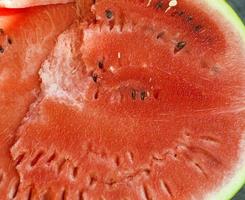 half red ripe watermelon photo