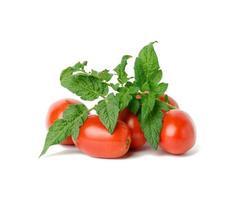 ripe red tomatoes and green leaf on a white background. Autumn harvest photo