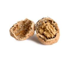 Walnuts isolated on white background photo