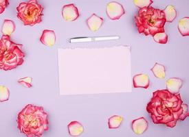 empty pink paper sheet and buds of pink roses, festive background photo