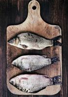 tres carpas de pescado fresco de río foto