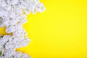 Blooming bouquet of white lilac photo