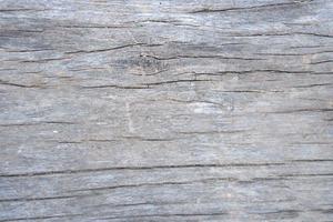 The old wooden floor has cracks. photo