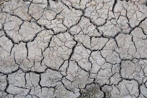 The ground cracks in the dry season. photo