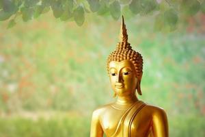 Makha Asanaha Visakha Bucha Day Golden Buddha image. Background of Bodhi leaves with shining light. Soft image and smooth focus style photo