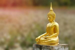 Makha Asanaha Visakha Bucha Day Golden Buddha image. Background of Bodhi leaves with shining light. Soft image and smooth focus style photo