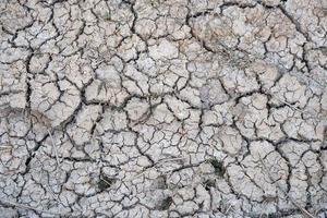 The ground cracks in the dry season. photo