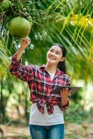 retrato de una joven agricultora asiática feliz que verifica la calidad del coco en la granja y usa una tableta para tomar pedidos en línea para los clientes. conceptos agrícolas y tecnológicos.