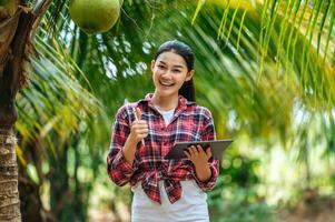 Portrait of Happy Asian young  farmer woman check quality of coconut in farm and using tablet computer to take orders online for customers. Agricultural and technology concepts. photo