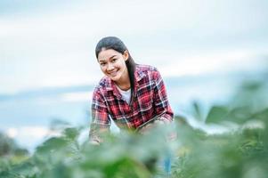 una joven agricultora asiática con una tableta en las manos examina el campo verde. tecnologías modernas en gestión agrícola y concepto de agronegocios. foto