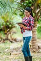 Portrait of Happy Asian young  farmer woman check quality of coconut in farm and using tablet computer to take orders online for customers. Agricultural and technology concepts. photo