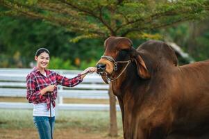 Portrait of Happy young Asian farmer woman wearing hat working to clean cow in farm. Agriculture industry, farming, people, technology and animal husbandry concept. photo